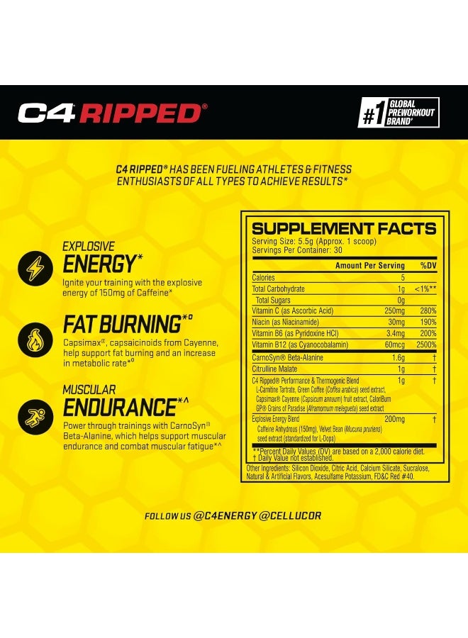 سيلوكور مسحوق C4 ريبيد قبل التمرين بنكهة الفواكه الاستوائية - Image 2