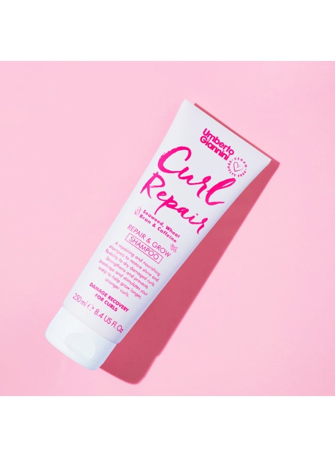 Beauty Gift Curl Repair Shampoo 250ml - Image 2