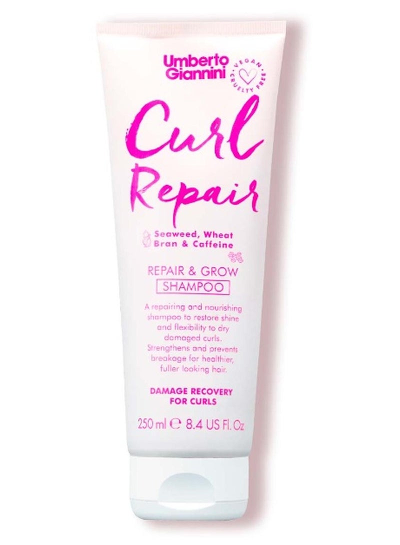 Beauty Gift Curl Repair Shampoo 250ml - Image 1