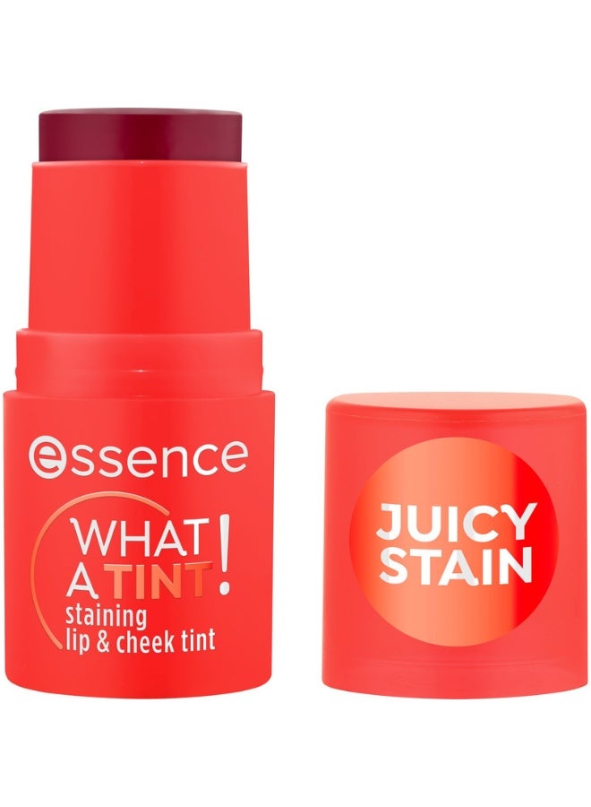 Essence What A Tint! Staining Lip & Cheek Tint 20 Grapefruit Bliss - Image 1
