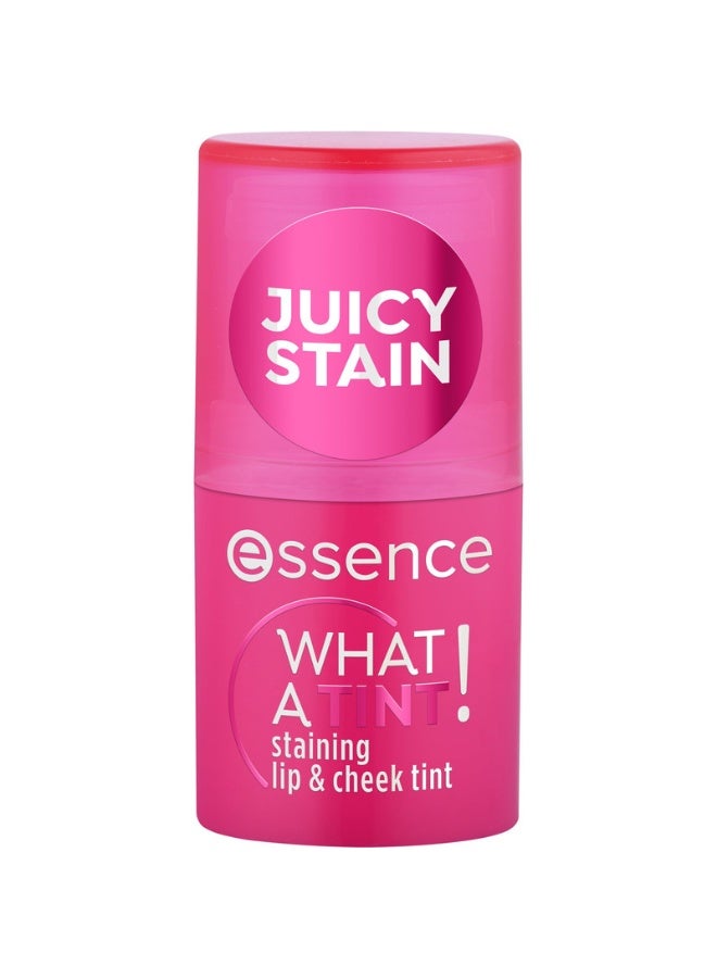 Essence What A Tint! Staining Lip & Cheek Tint 10 Raspberry Vibes - Image 1