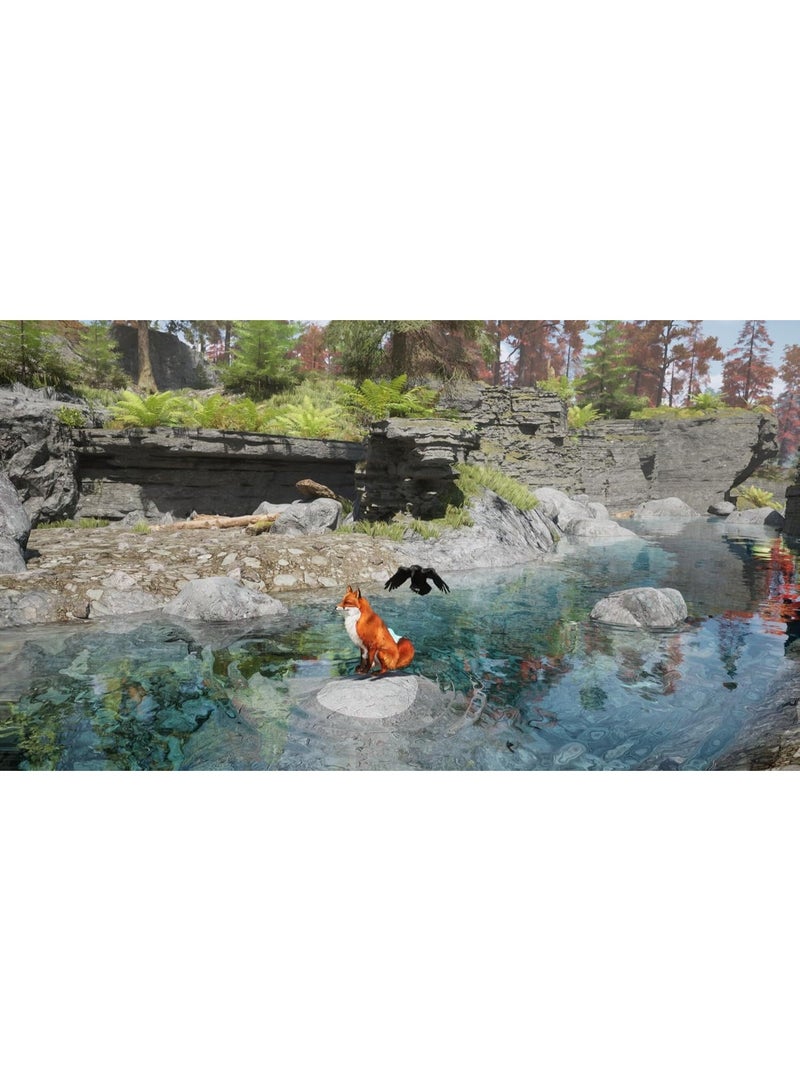 Sony Spirit of the North 2 - PlayStation 5 (PS5) - PlayStation 5 (PS5) - Image 5