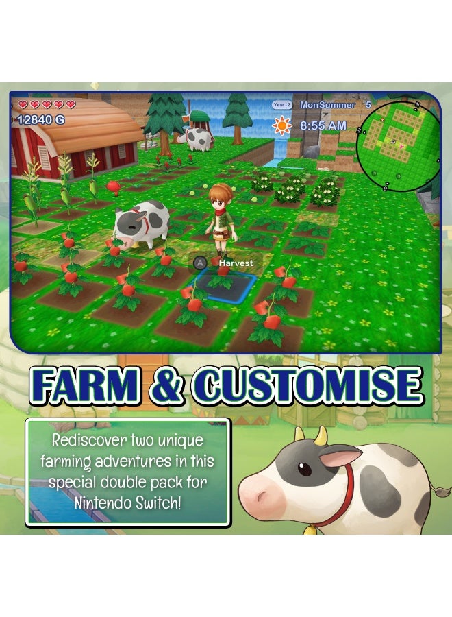 نينتندو Nintnedo switch Harvest Moon The Lost Valley & Skytree Village Collector’s Edition - Nintendo Switch - Image 2