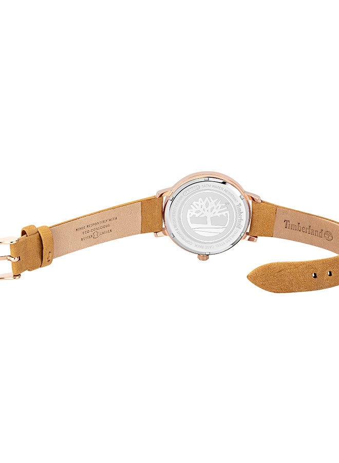 Timberland Women's Niantic Women's Brown Dial Brown Leather Strap Analog Watch 5ATM - Image 3