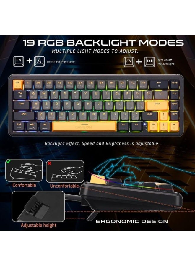 جايم أون GOMGK68-RS لوحة مفاتيح ألعاب ميكانيكية سلكية RGB مغناطيسية بنسبة 60% ، تصميم قابل للتبديل الساخن بـ 67 مفتاح ، مفتاح خطي وردي ، كابل Type-C ، معدل استجابة 8K ، تخطيط إنجليزي/عربي ، تحكم برمجي مخصص - Image 5