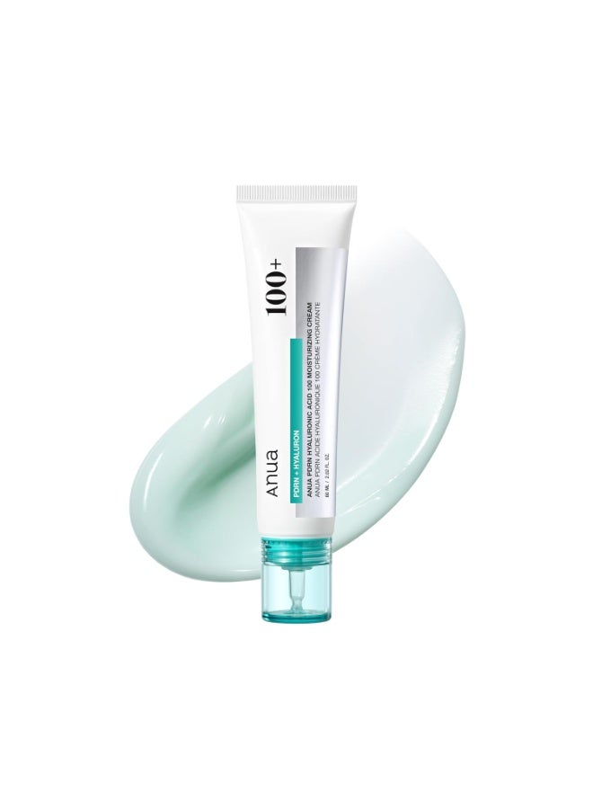 Anua PDRN Hyaluronic Acid 100 Moisturizing Cream 60ml - Image 1