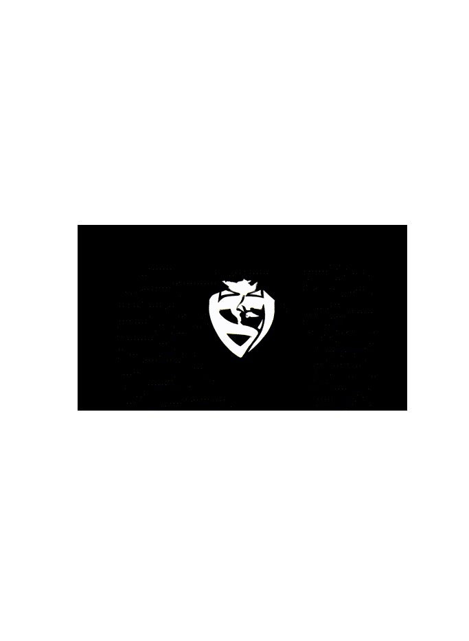 ألفا اكس Soulbytes S22 Pro Gaming Wired Over the Ear Headsets with Mic & LED For PS4/PS5/Xbox one/Xbox Series/Nintendo Switch And PC - Image 2