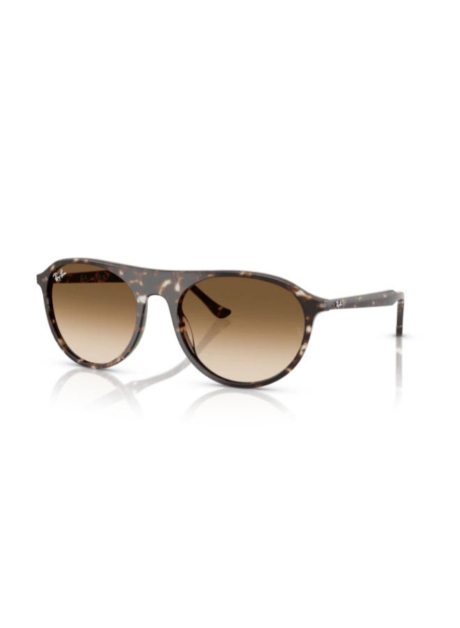 راي بان Men's Full Rimmed Aviator Sunglasses 0RB2215 - Image 1