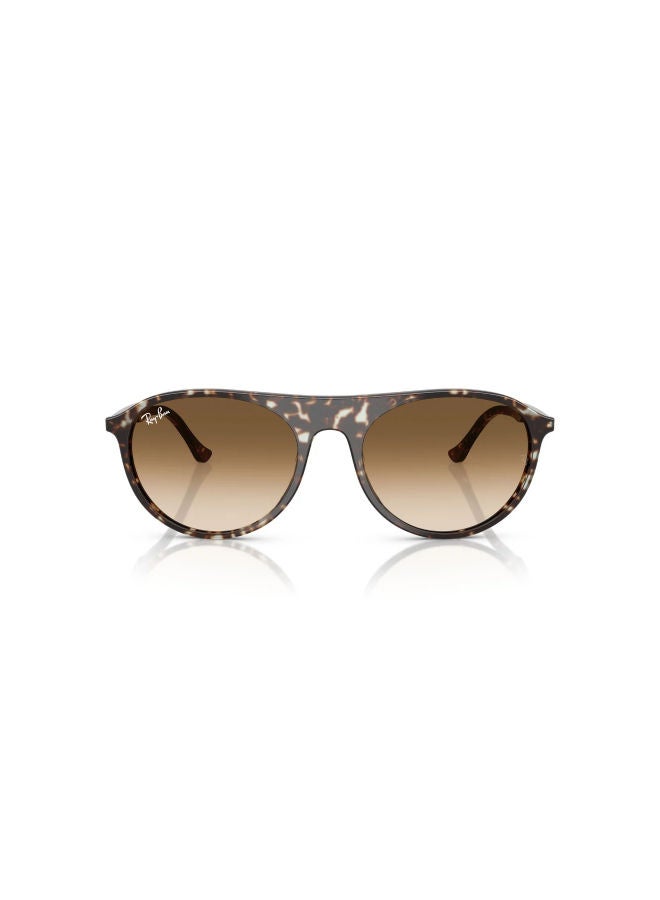 راي بان Men's Full Rimmed Aviator Sunglasses 0RB2215 - Image 2