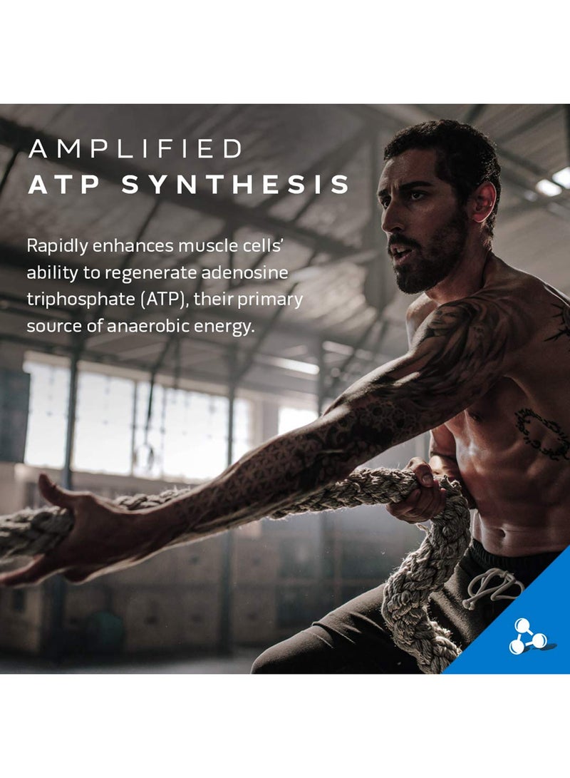 MuscleTech Cell-Tech Creactor Creatine HCL + Free-Acid Creatine, Amplify Size, Strength, & Recovery | Provides A Highly Soluble Form Of Creatine, 750MG Creatine HCL | 750MG Free-Acid Creatine | 120 Servings, Unflavored Natural Flavors, Dietary Supplement, Net WT. 8.47 OZ. (240G), 1 Per Serving - Image 5