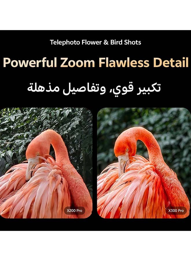 X300 Pro 5G Dual SIM Dune Brown 16GB RAM 512GB With Exclusive Magnetic Case +vivo TWS Air And 30 Months Warranty + 1 Year Screen Replacement - Middle East Version image 10