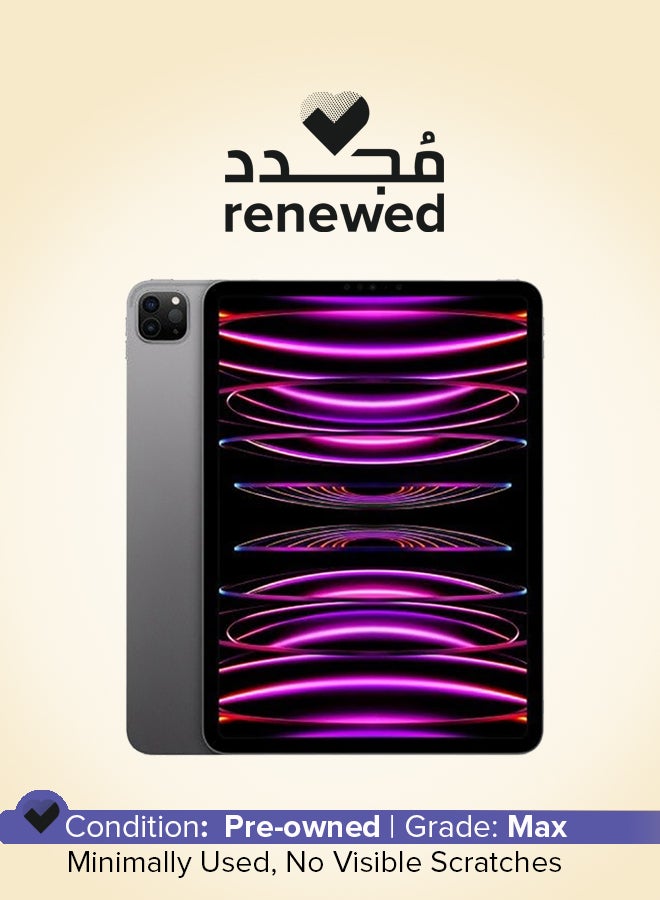 ابل  Renewed - iPad Pro 2022 (1st Generation) 11-inch 256GB WiFi Space Gray - Image 1