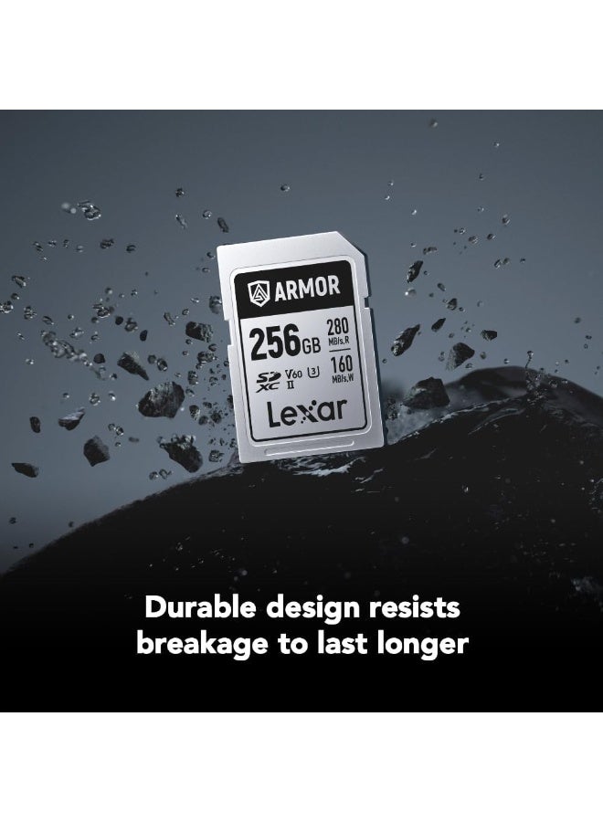 Lexar ARMOR SD 256GB Silver Pro 280MB/s V60 256 GB - Image 4