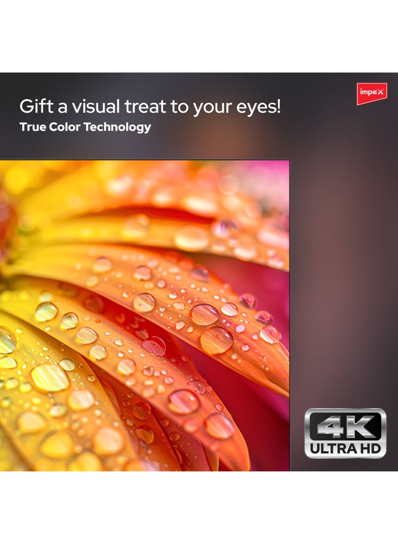 إمبكس 70-Inch 4K Ultra HD Smart LED TV| Frameless Design Television | Quad Core Processor | Movie Film Music and Audio Entertainment , 8GB Storage + 1.5GB RAM | A+ Grade Panel | Dolby-Ready Audio | 3 HDMI & 2 USB | 2 Year Warranty - Gloria 70 Smart, Black Gloria 70 Smart Black - Image 4