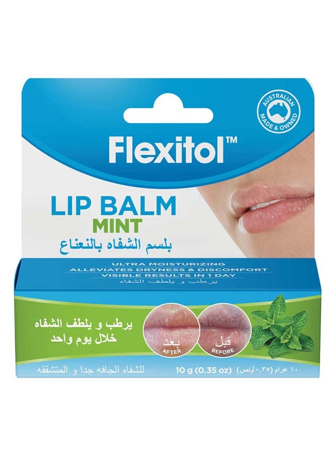 فليكسيتول بلسم شفاه بالنعناع 10 جرام - Image 1