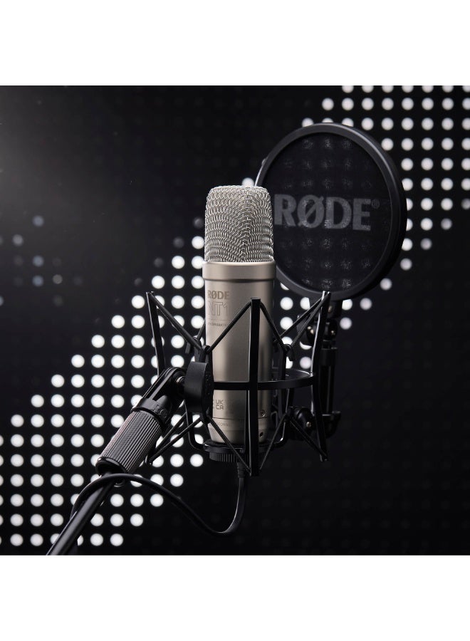 رود NT1 5th Generation Studio Condenser Microphone - Silver NT1GEN5 Nickel - Image 3