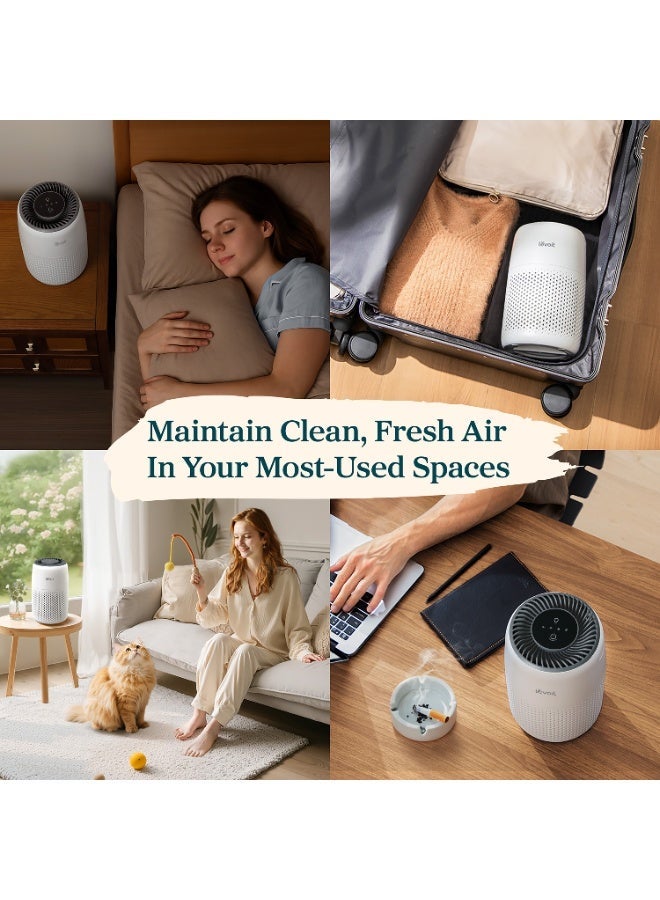 LEVOIT Air Purifiers for Bedroom Home, with Night Light, 3-in-1 Filter, Filters Smoke, Allergies, Pet Dander, Odor, Dust, 25dB Ultra-quiet, Office, Desktop, Portable, Core Mini, White ‎LAP-C171-QAE White - Image 5