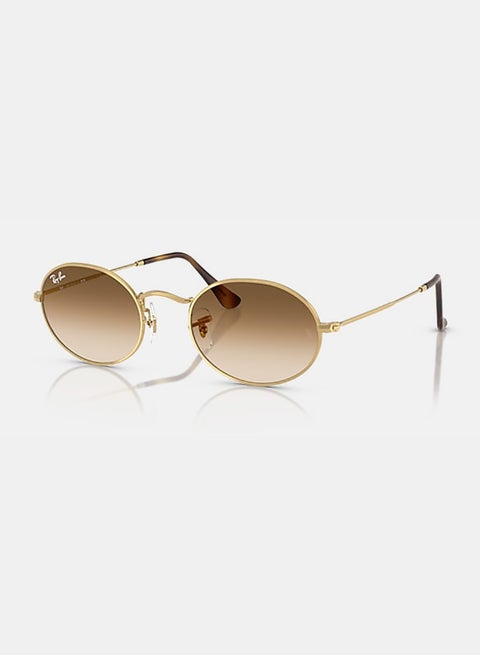 Men's Men Full Rim Oval Sunglasses 0RB3547 51