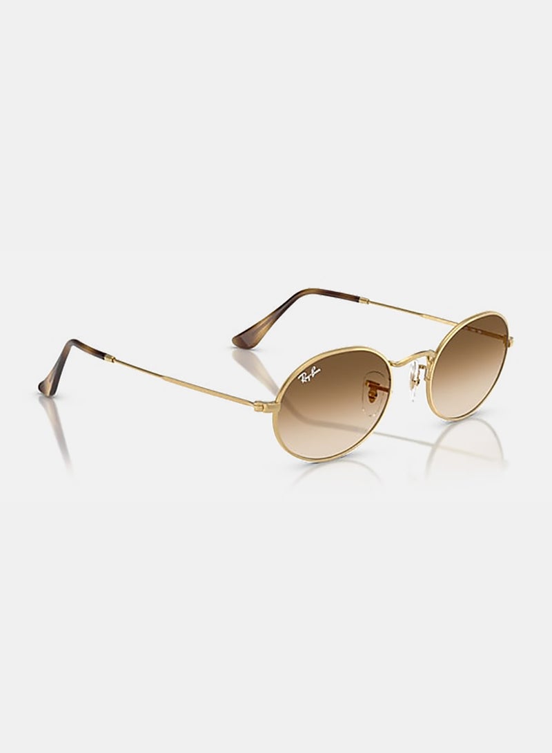 Men's Men Full Rim Oval Sunglasses 0RB3547 51