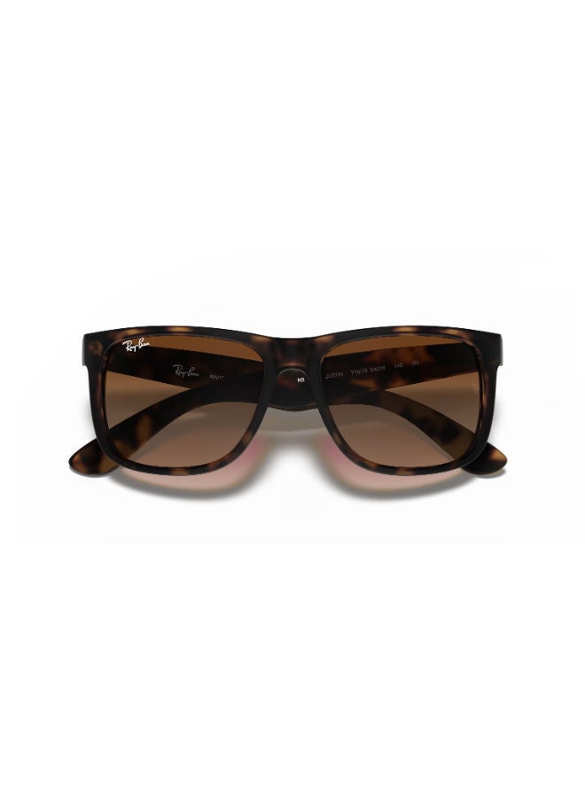 Ray-Ban Men's Full Rimmed Square Sunglasses 0RB4165 - Image 5