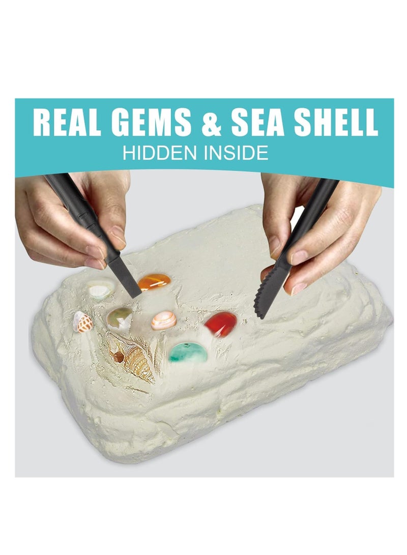 FengSVMA Dig Kits for Kid, Kids STEM Toys Science Kits Educational Toys for 6 7 8 9 10-12 Years Old Boys Girls, Dig It up 19 Real Gems & Sea Shells  - Image 3
