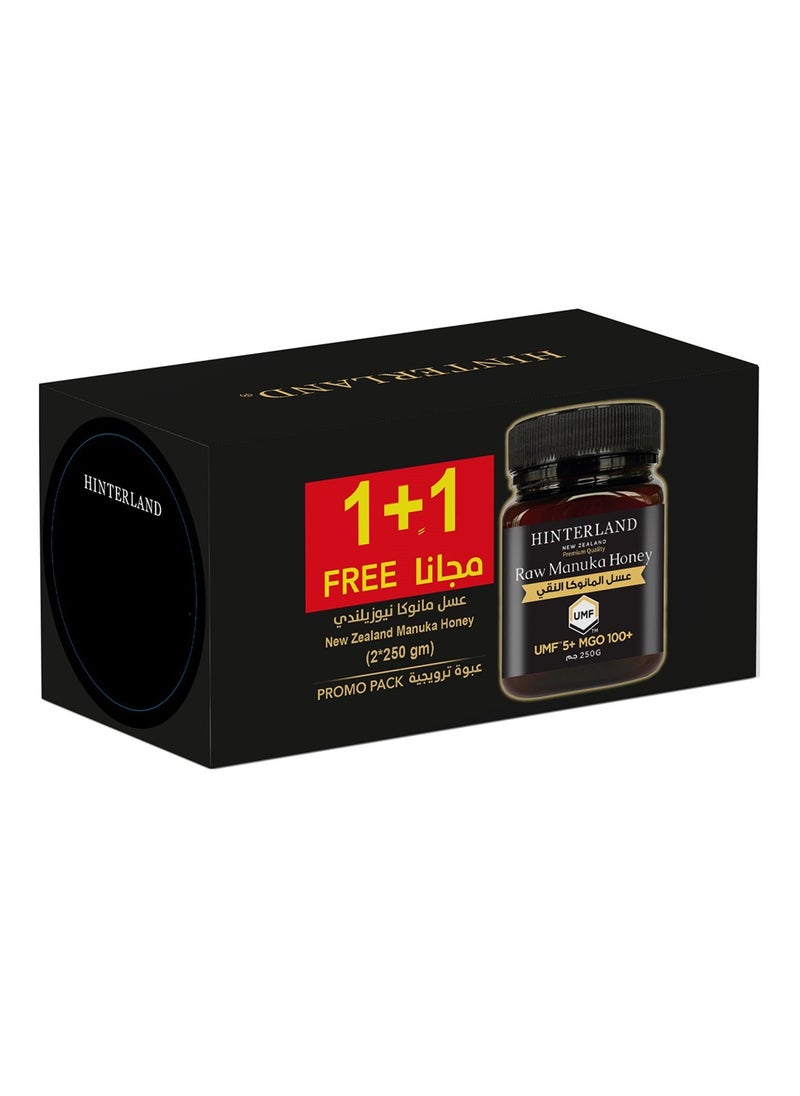 Hinterland Manuka Honey 100 MGO 250 Gm Promo Pack  - Image 1