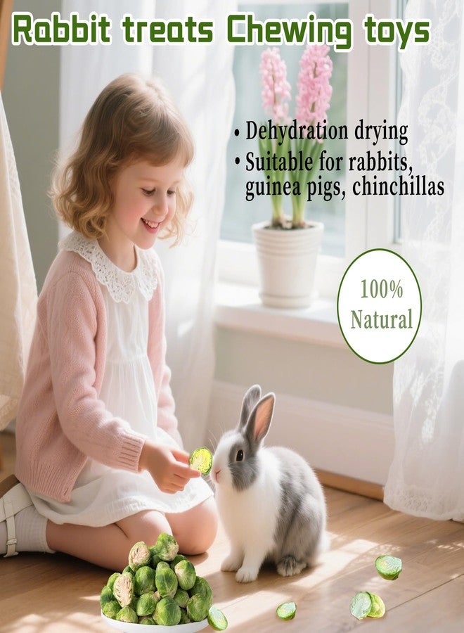 Hamiledyi Rabbit Treats Small Pets Chew Toys Bunnies Guinea Pigs Hamsters Chinchillas Rodents Dried Natural Mix Container Feeding Foraging Treats (13.8OZ) - Image 3