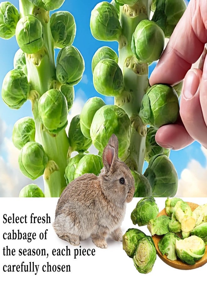 Hamiledyi Rabbit Treats Small Pets Chew Toys Bunnies Guinea Pigs Hamsters Chinchillas Rodents Dried Natural Mix Container Feeding Foraging Treats (13.8OZ) - Image 4