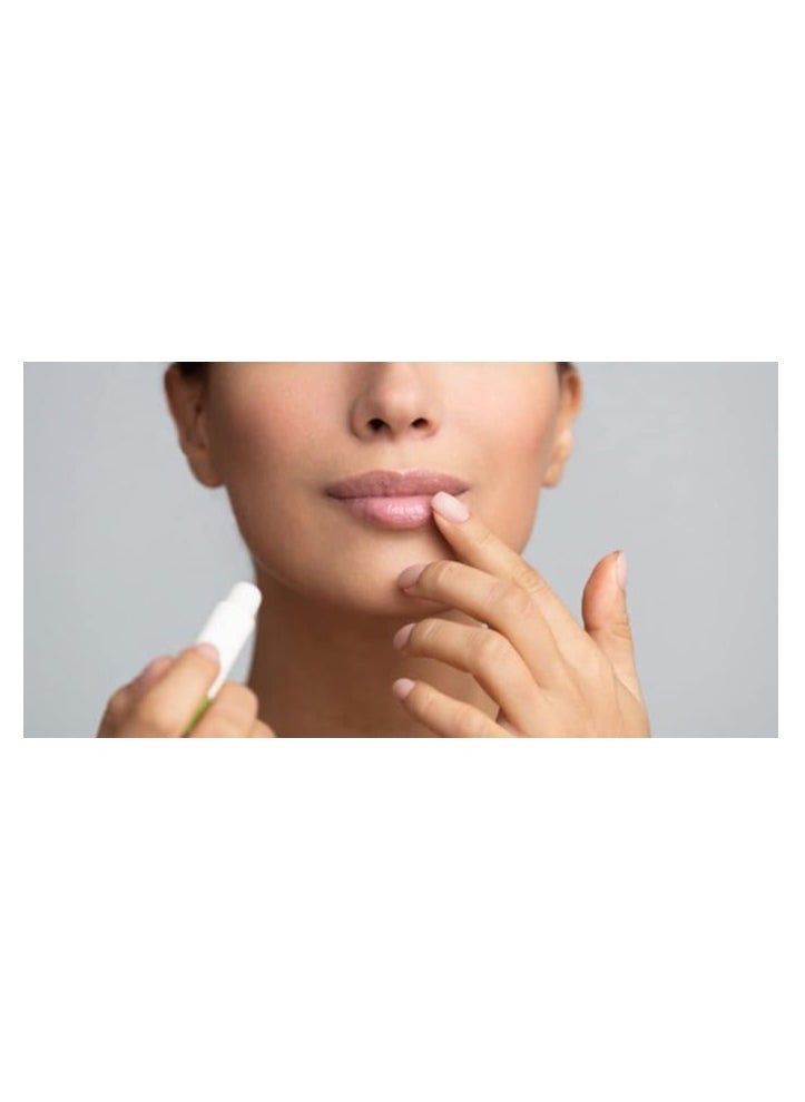 facefacts Mango Breeze Scented Balm For Dry Chapped Lips 4.25 G  - Image 4