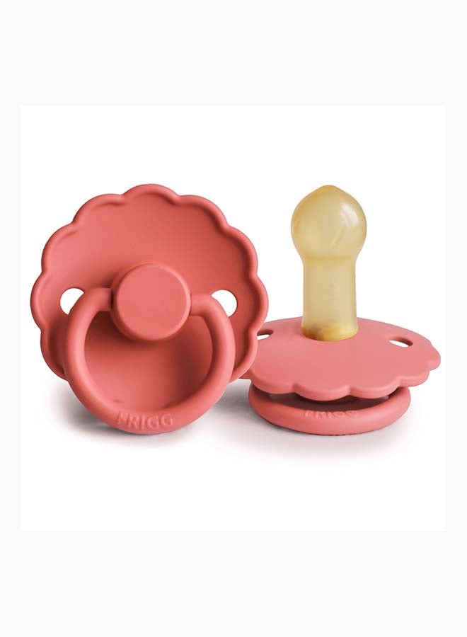 FRIGG لهاية FRIGG Daisy من اللاتكس للأطفال 6-18 شهر 1-Pack بوبى - الحجم 2 - Image 2