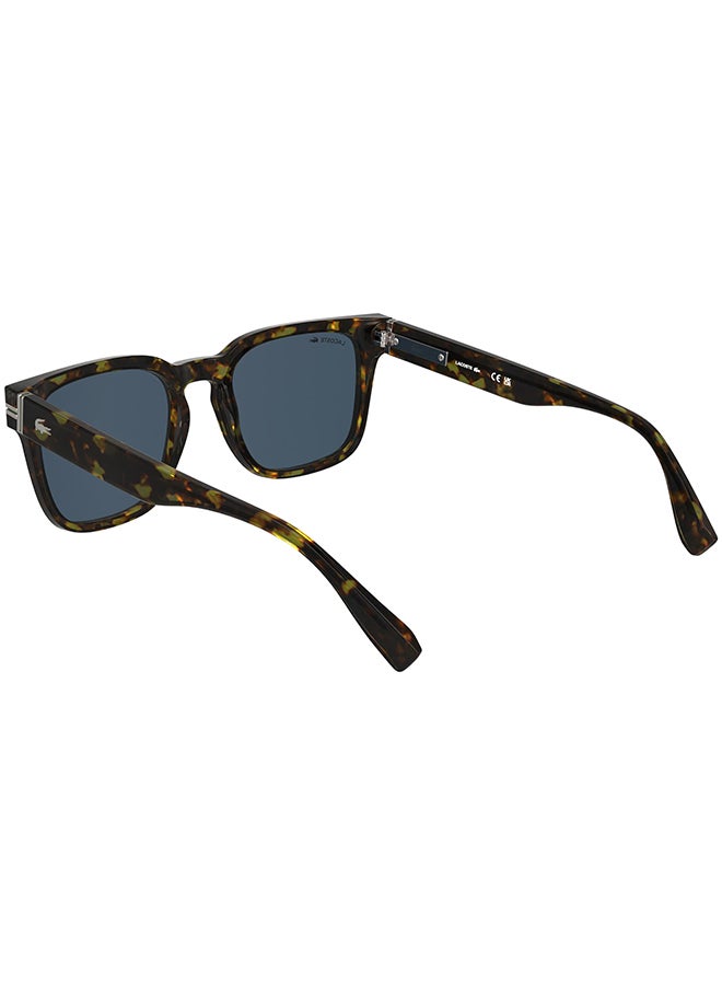LACOSTE FULL RIM ACETATE LACOSTE SUNS L6065S 5420 (230) DARK HAVANA - Image 2