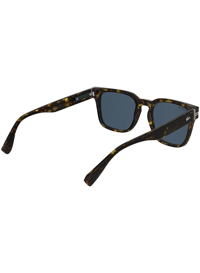 LACOSTE FULL RIM ACETATE LACOSTE SUNS L6065S 5420 (230) DARK HAVANA - Image 4