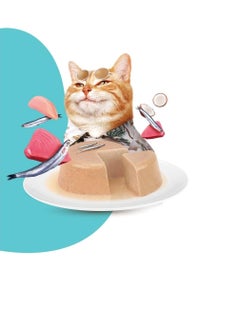 MOOCHIE Mochi Cat Food with Anchovies - Digestive Care Bag 70g  - Image 2