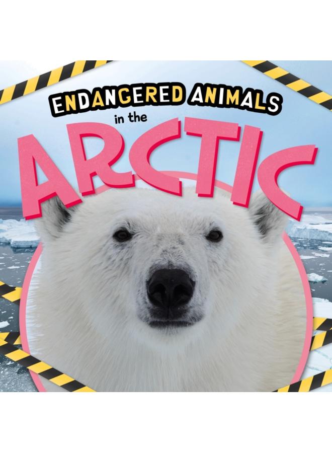 In the Arctic 
