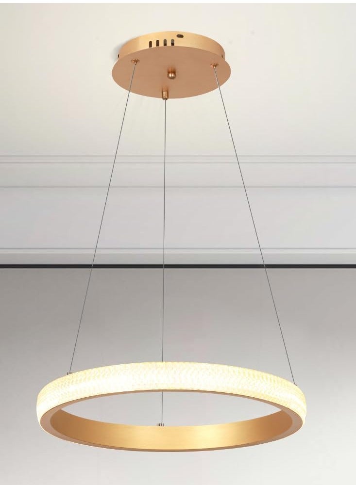 YATAI LIGHTING Modern LED Chandeliers Dining Room, Simplicity Gold Acrylic Ring Chandelier for Kichen Table,Study,Adjustable Color Temperature Chandelier Lamp  - Image 1