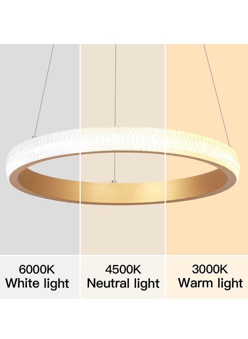YATAI LIGHTING Modern LED Chandeliers Dining Room, Simplicity Gold Acrylic Ring Chandelier for Kichen Table,Study,Adjustable Color Temperature Chandelier Lamp  - Image 4
