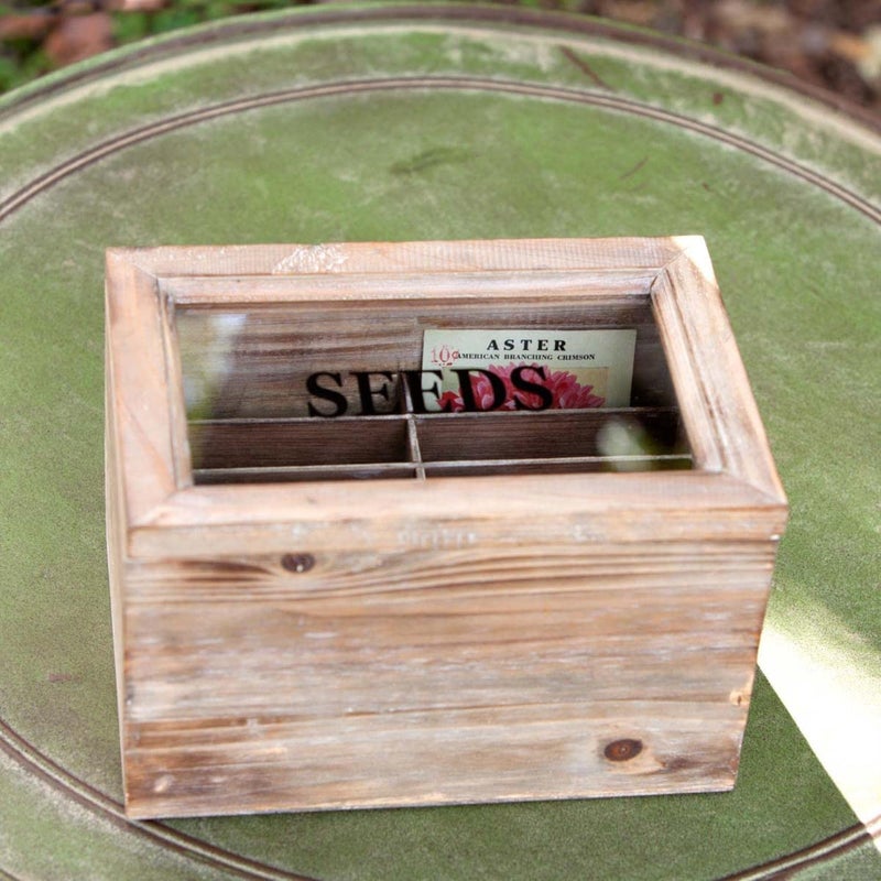 Park Hill Collection Park Hill Collection EAG81142 Seed Packet Box 9inch Length Fir Wood Plywood and Glass 