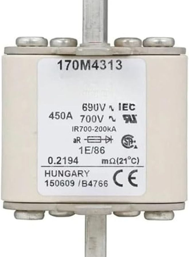 سيلفر فيوز 170M4308 - Image 1