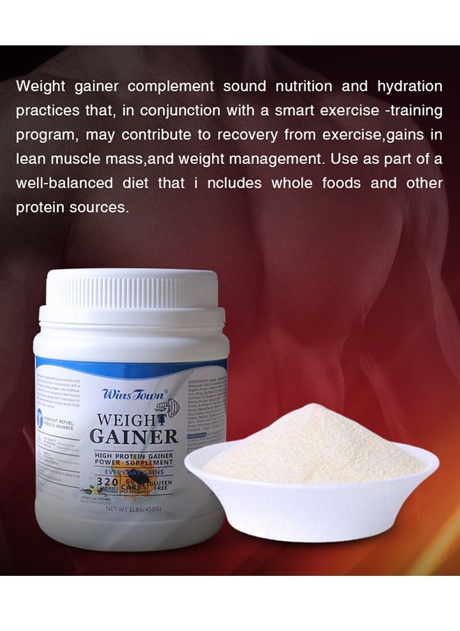 Wins Town - weight gainer high protein gainer power supplement 450g - Image 1