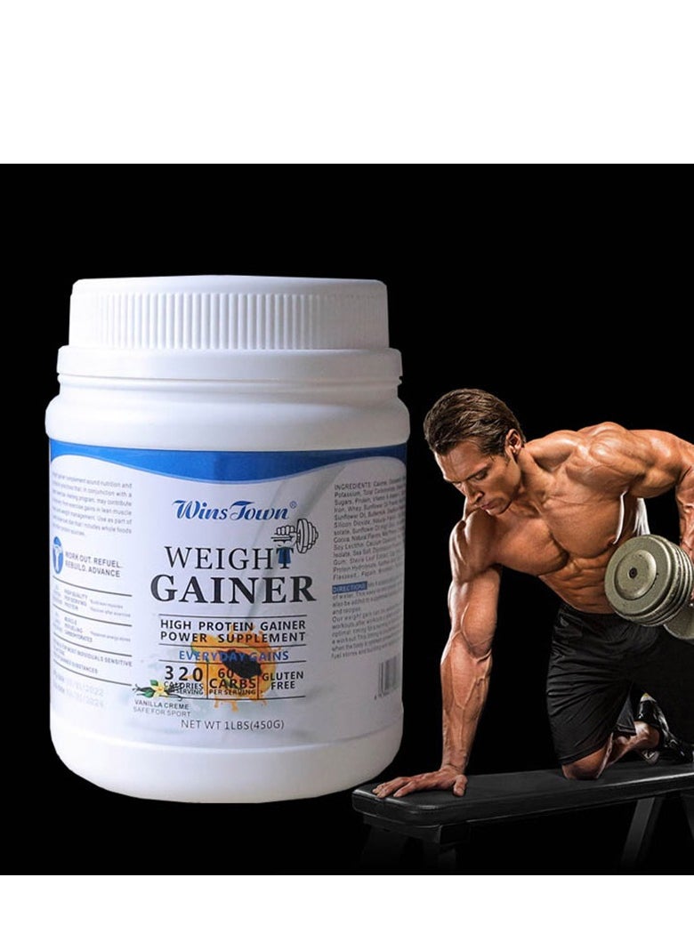 Wins Town - weight gainer high protein gainer power supplement 450g - Image 1