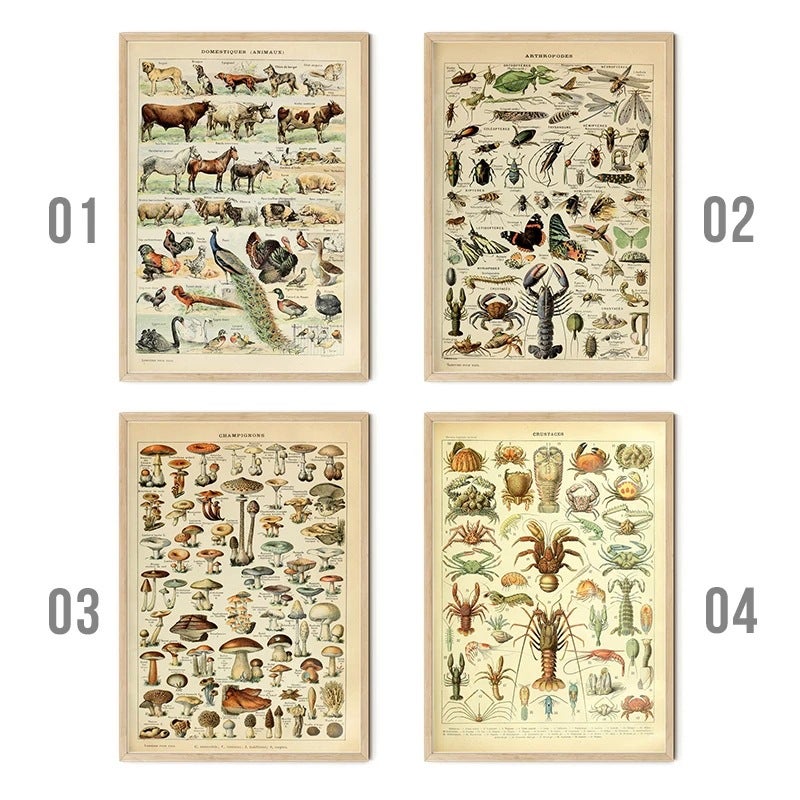 Retro Poster Mushroom Biological Figure Decorative Painting Core Teaching Study Living Room Canvas Painting - Image 2