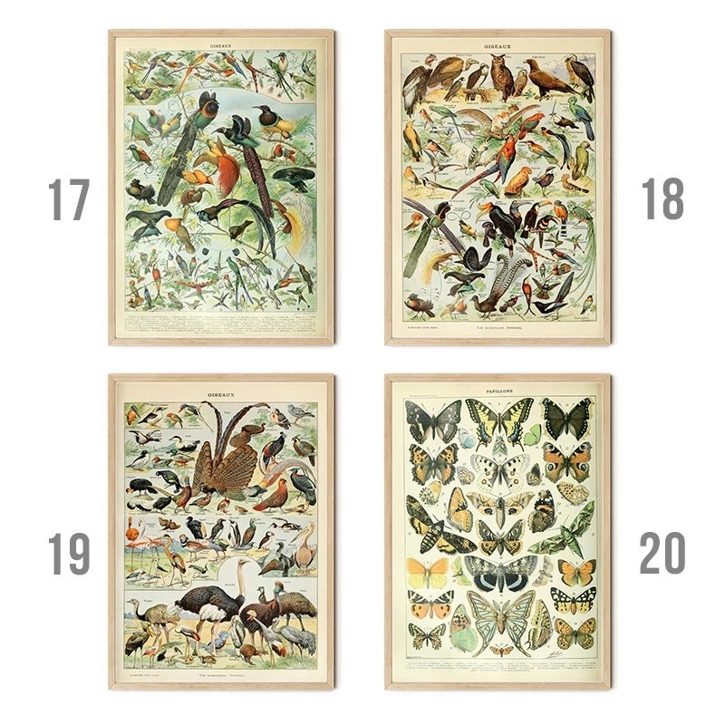 Retro Poster Mushroom Biological Figure Decorative Painting Core Teaching Study Living Room Canvas Painting - Image 4