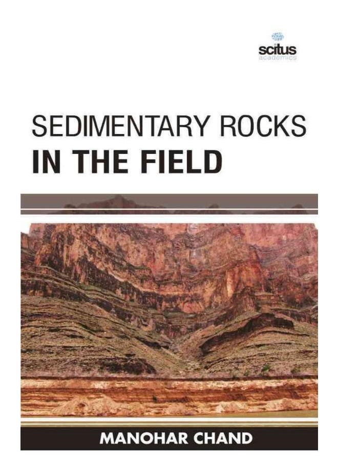 null - Sedimentary Rocks in the Field - Image 1