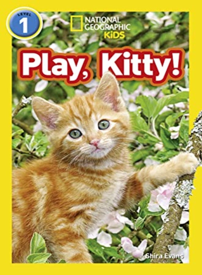 Play, Kitty! Level 1