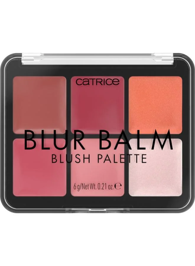 كاتريس Catrice Blur Balm Blush Palette 010