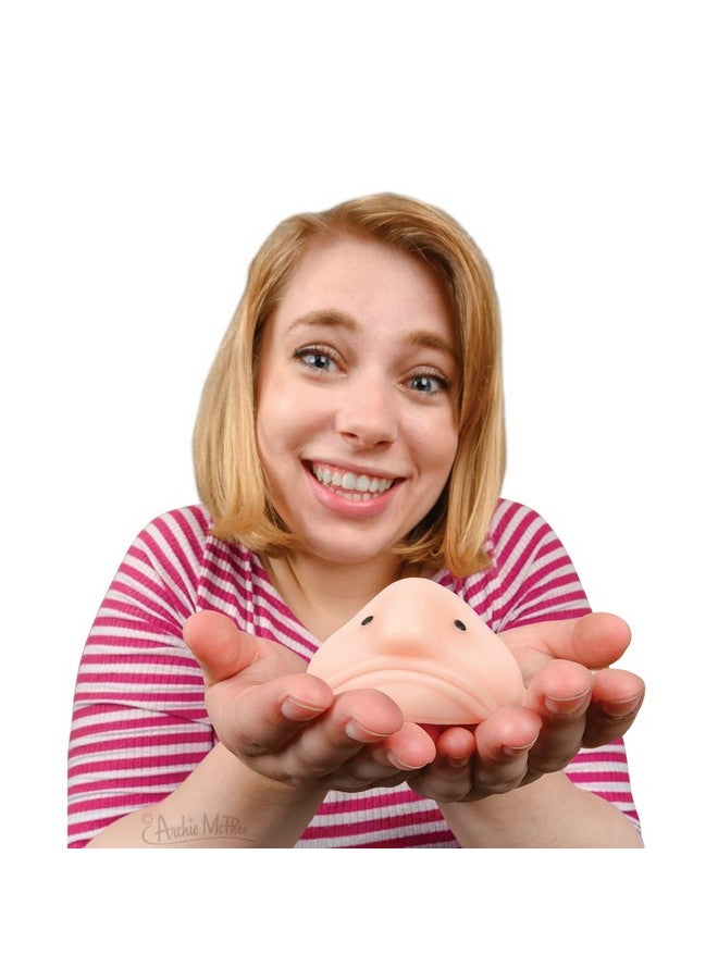 أكوتريمنتس ملحقات ساني ذا بلوبفيش - لعبة مبتكرة - لعبة إسفنجية - Image 2