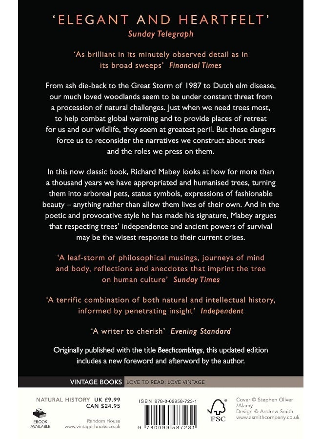 The Ash and The Beech: The Drama of Woodland Change - Image 2