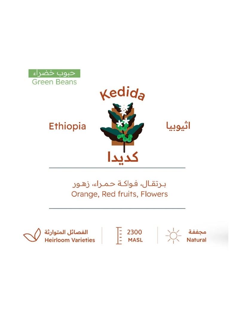 Jarrah Ethiopian Kedida Specialty Coffee 250g – Natural Process with Strawberry and Chocolate Notes + 3 Paper Cups - Image 5