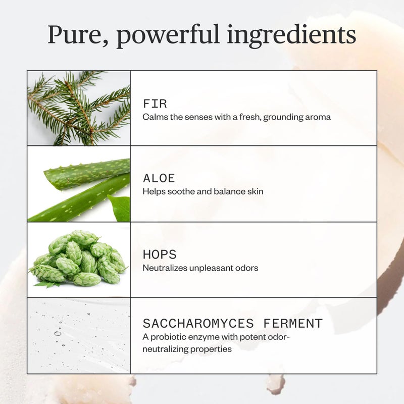 Ursa Major Natural Deodorant - Forest Fix | Aluminum-Free, Non-staining and Cruelty-Free | 2.6 ounces - Image 4