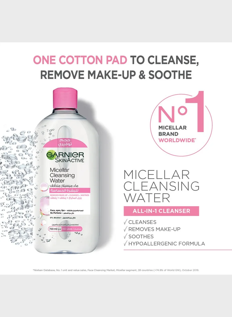 garnier GarnierSkinActive Cleanse, Wash, & Re-use Kit - Mega Size